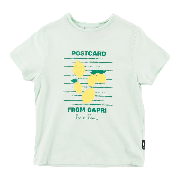 Loud Apparel Lemons T-Shirt Relaxed Fit Jade/Lemons Print