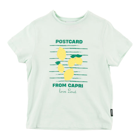 Loud Apparel Lemons T-Shirt Relaxed Fit Jade/Lemons Print